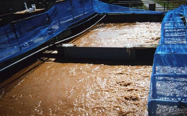 Latest company blogs about Jiangsu Hengfeng Expands Taizhou Sand Washing Market and Empowers Industrial Cluster Development