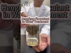 هنیگفنگ فلوک