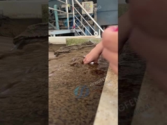 پولیاکریلامید فلوکلانت WWTP apam در تصفیه آب