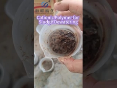Cationic Polymer