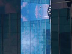 Émulsion de polyacrylamide