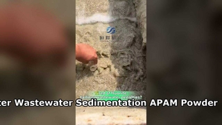 বর্জ্য জল চিকিত্সার জন্য উচ্চ দক্ষতা APAM পাউডার