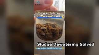 Disidratazione fanghi di impianti comunali