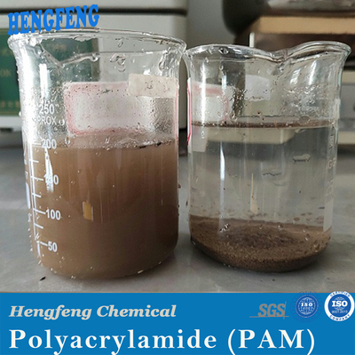 PAM Polyacrylamide anionica in polvere per il trattamento dei fanghi di fabbrica