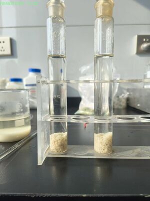 Anionic Polyacrylamide Powder APAM for Wastewater Treatment with Solid Content >=88% and Dissolution Time <=40 Min