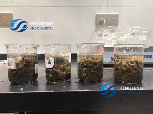 Municipal Water Treatment Cationic Polyacrylamide Powder Flocculant